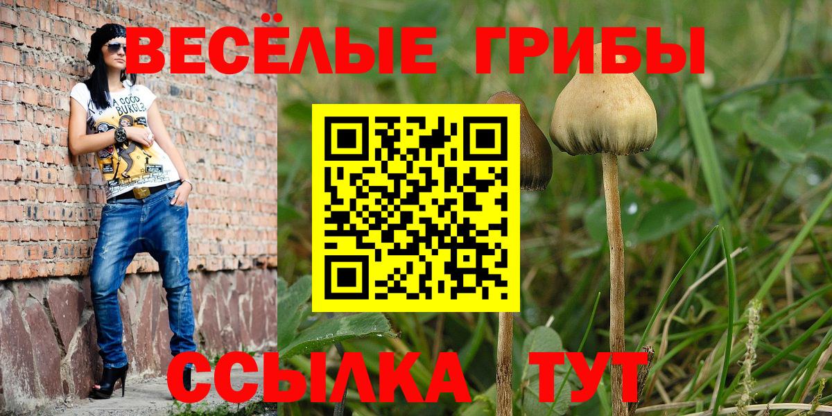 Галлюциногенные грибы Cubensis Волгодонск